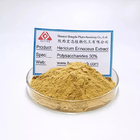 Suitable for People With Weak Digestion Hericium Erinaceus Extract