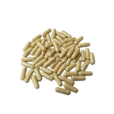 Natürliche 30% Hericium Erinaceus Extrakt Kapseln von HONGDA