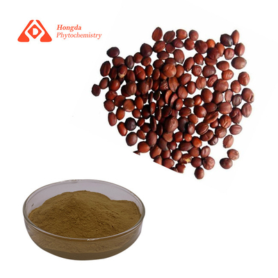 Spine Date Seed Extract Pulver Saponine des Jujube Kerns 2%-10% (UV) 0,3%-10% (HPLC)